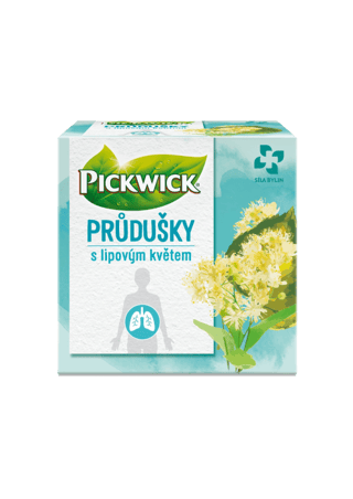 průdušky new