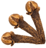 pickwick cloves 2