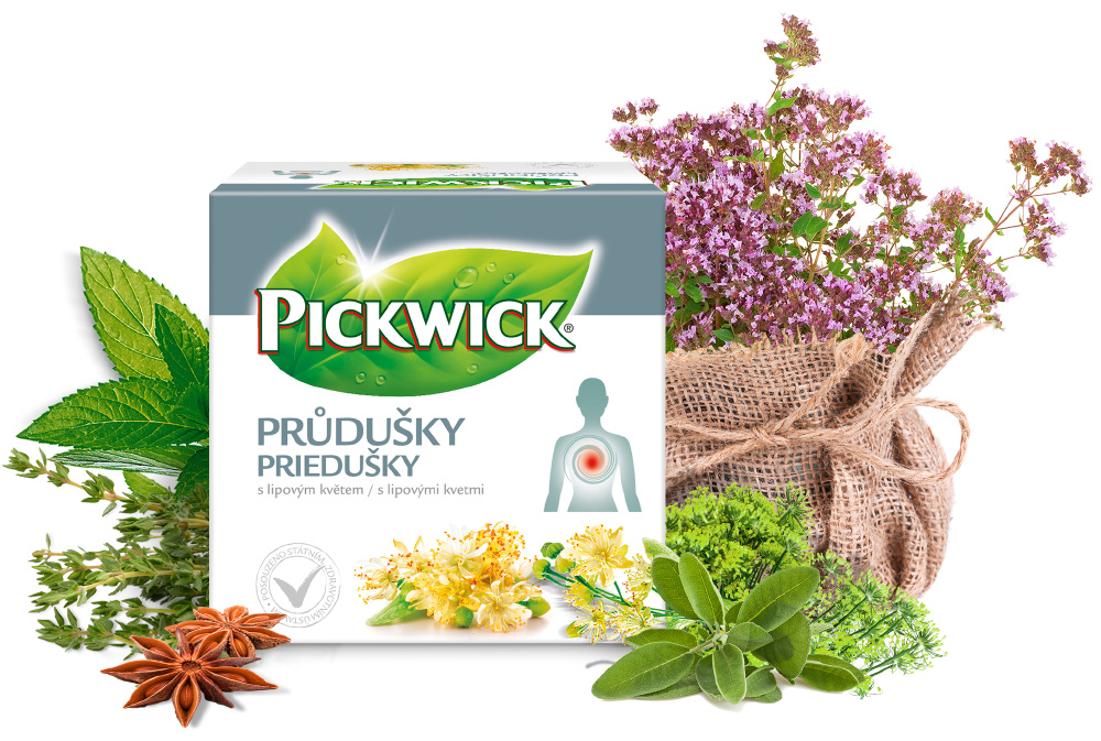 pickwick-PRUDUSKY CZ _ SK.jpg